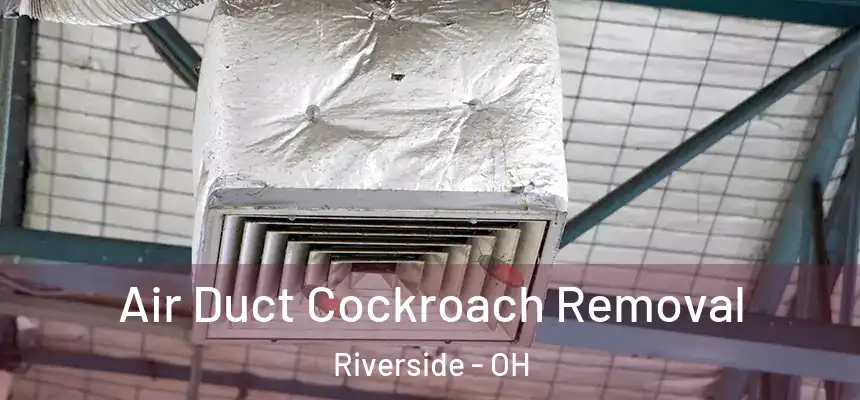 Air Duct Cockroach Removal Riverside - OH