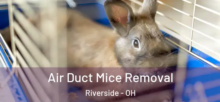 Air Duct Mice Removal Riverside - OH