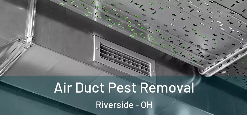 Air Duct Pest Removal Riverside - OH
