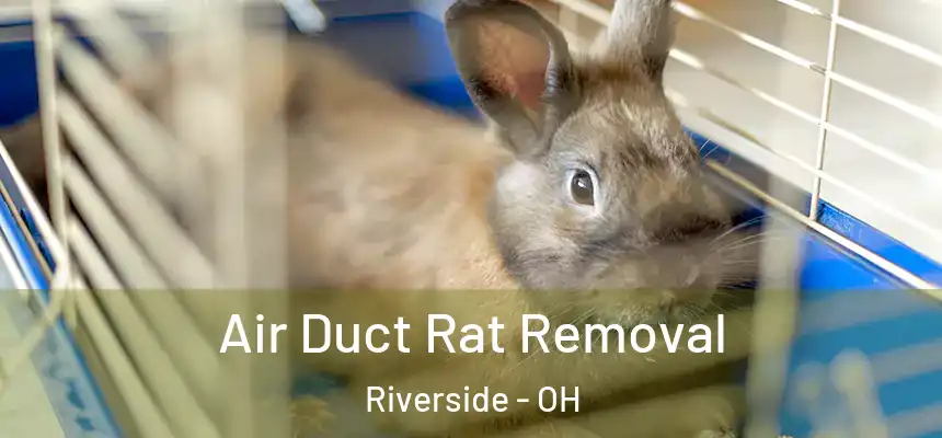  Air Duct Rat Removal Riverside - OH
