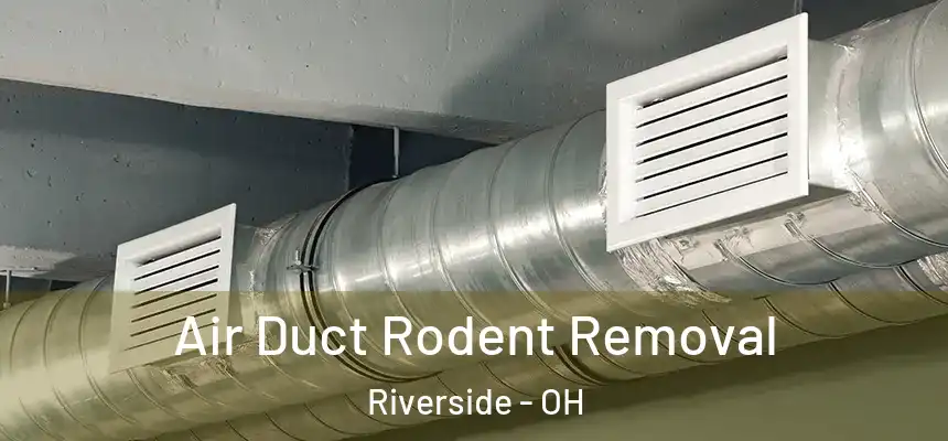  Air Duct Rodent Removal Riverside - OH