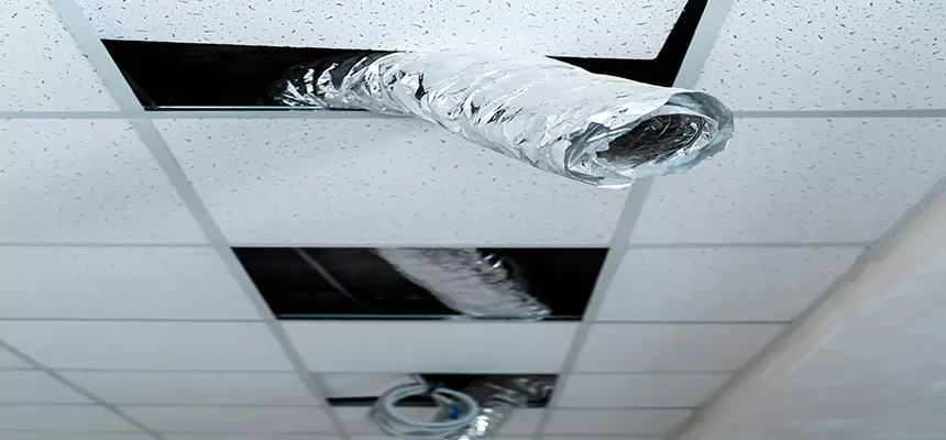 Our Air Duct Pet Hair Removal Services in Riverside, OH