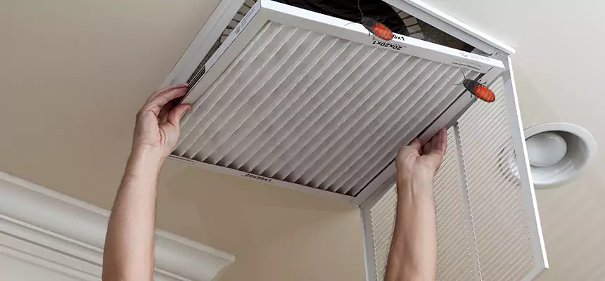 Our Insect Removal from Air Ducts Services in Riverside, OH