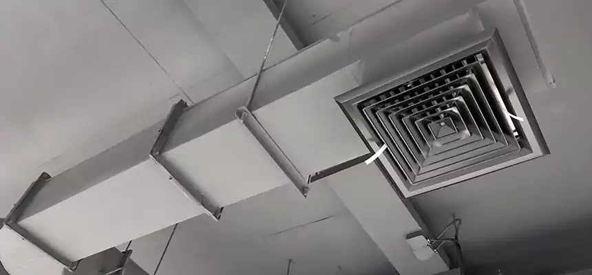 Our Pest Removal From Ducts Services in Riverside, OH