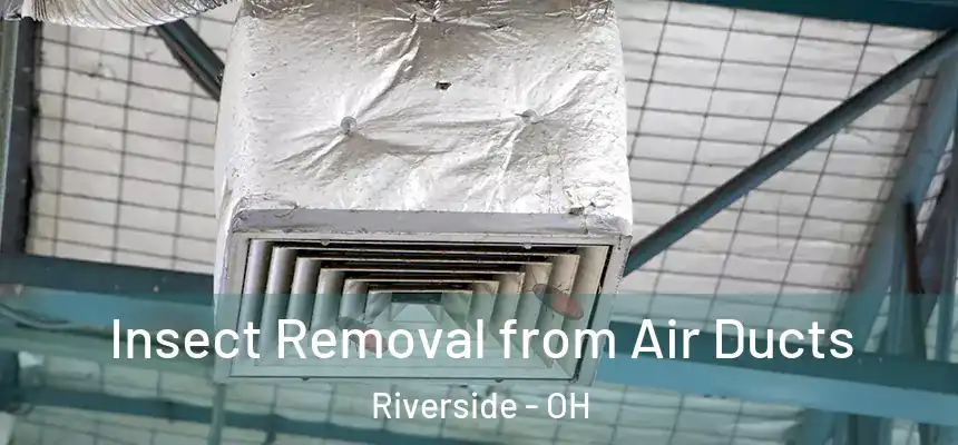 Insect Removal from Air Ducts Riverside - OH