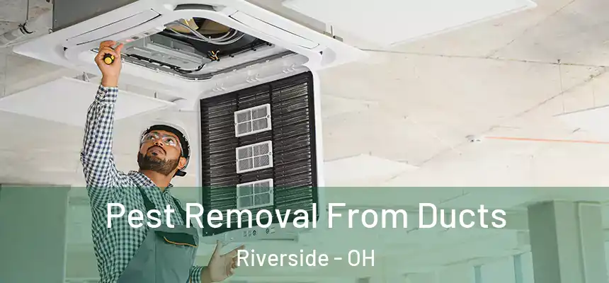 Pest Removal From Ducts Riverside - OH