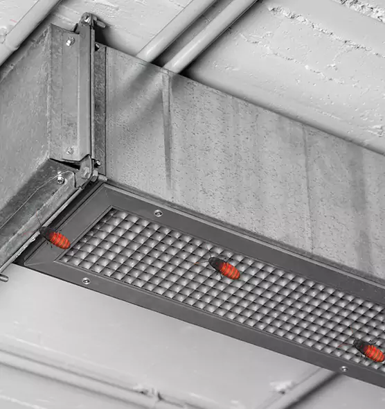 About Air Duct Cockroach Removal in Riverside, OH