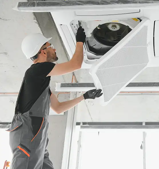 About Air Duct Rodent Removal in Riverside, OH