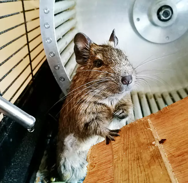 Why Homeowners & Businesses Trust Us Riverside, OH